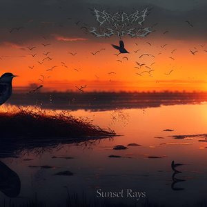 Sunset Rays