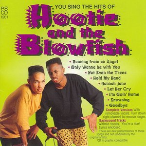 Hootie and Blowfish