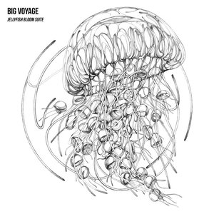 Jellyfish Bloom Suite