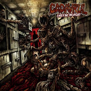 Enter The Morgue
