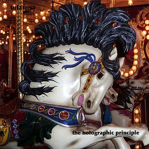 The Holographic Principle