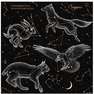 Beneath the Stars