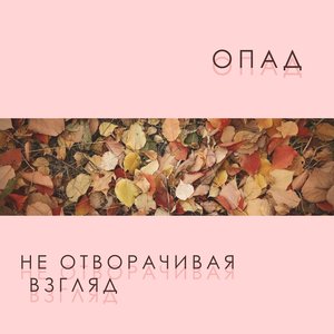 Не отворачивая взгляд