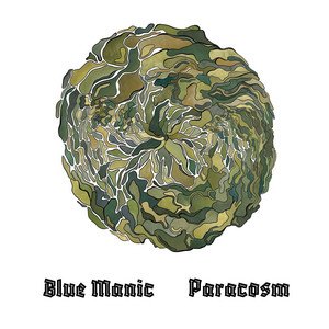 Paracosm