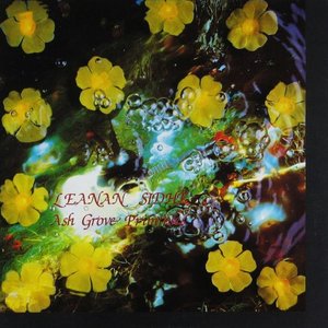 Ash Grove Primroses