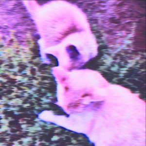 El Día Que Dejé De Respirar Y Me Arrepentí