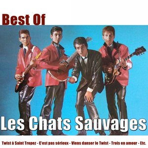 Best of les chats sauvages