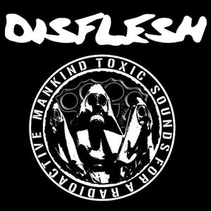 Disflesh のアバター