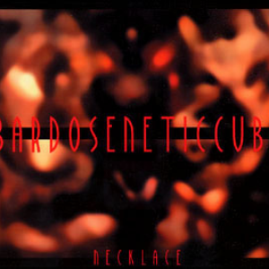 Necklace cover