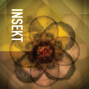 insekt