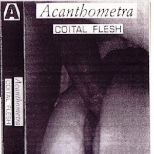 Coital Flesh