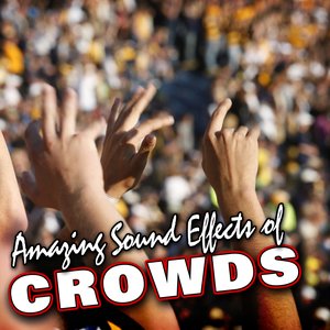 Amazing Sound Effects of Crowds