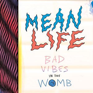 Bad Vibes in the Womb