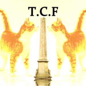 Team Cat Food 的头像