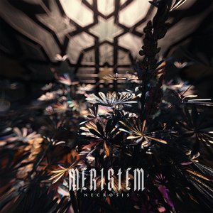 Necrosis - EP
