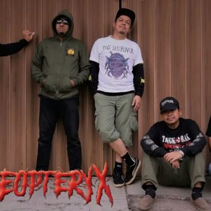 NEOPTERYX 的头像