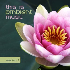 This is ambient music  selection 1