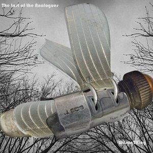 The Last of the Analogues