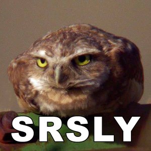 SRSLY 的头像