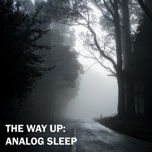Analog Sleep