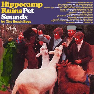 hippocamp ruins pet sounds