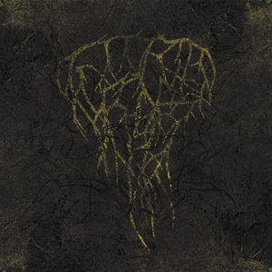 Stories Bones Tell 的头像