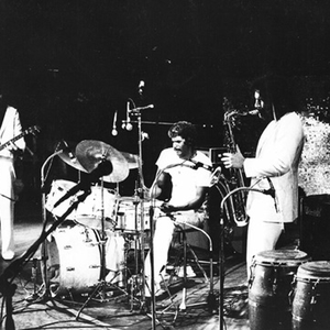 Stone Alliance photo provided by Last.fm