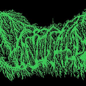 Vulnakkthra 的头像