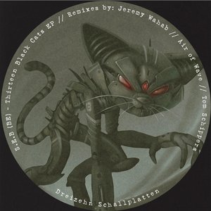Thirteen Black Cats EP
