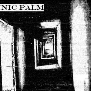 stannic palm 的头像
