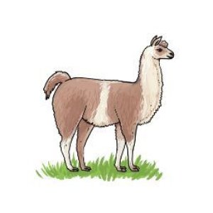 LamasareBRW 的头像