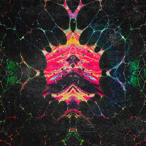 Astronaut Corps 的头像