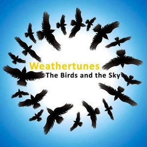 The Birds And The Sky