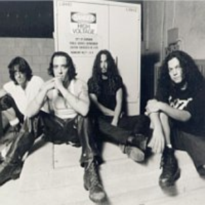 Vicious Delite photo provided by Last.fm