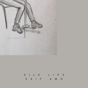 Silk Lips