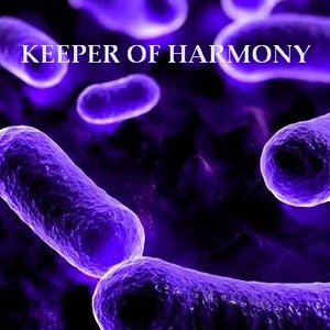 Keeper of Harmony 的头像