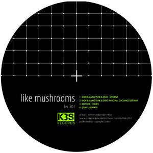 Like Mushrooms