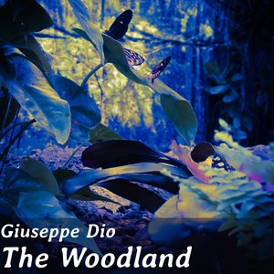 Image for 'The Woodland'