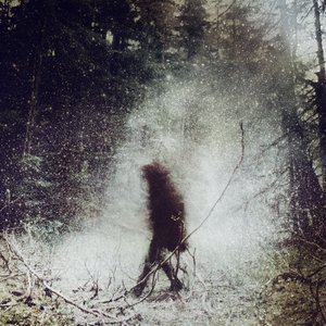 Wolves in the Throne Room 的头像