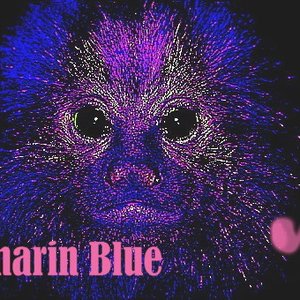 Image for 'Tamarin Blue'