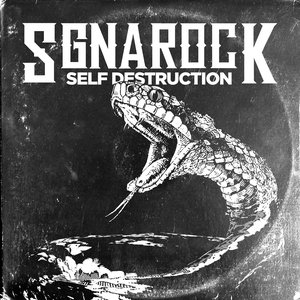 SgnarocK 的头像