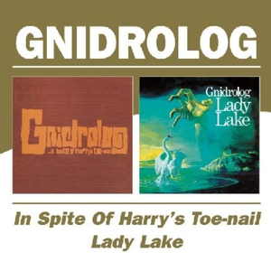 In Spite of Harry's Toe-nail / Lady Lake cover