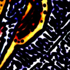 Fantasmagoria do Espírito