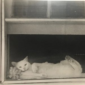 Comfort (Demo EP)