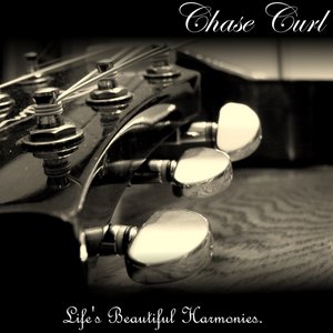 Life's Beautiful Harmonies