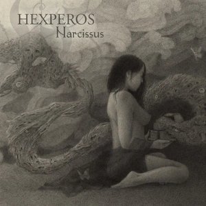 Narcissus