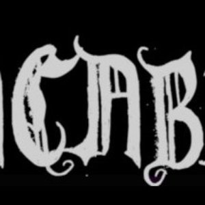 ACABIT 的头像