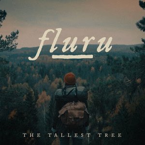 The Tallest Tree