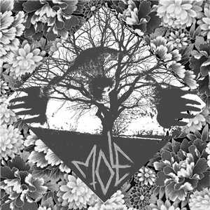 s/t