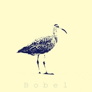 Bobel 的头像